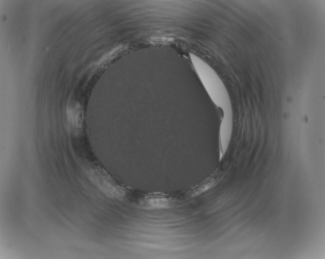 X0000081330228200701251841