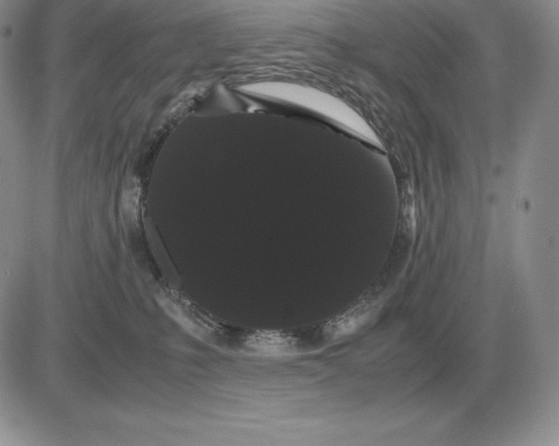 X0000081330231200701251841