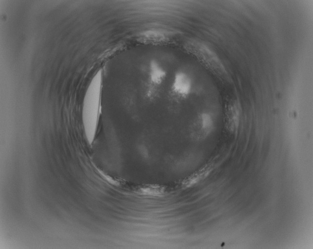 X0000081330232200701251841