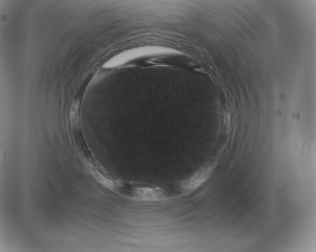 X0000081330239200701251841