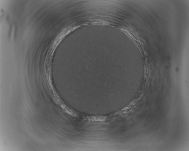 X0000081330241200701251840