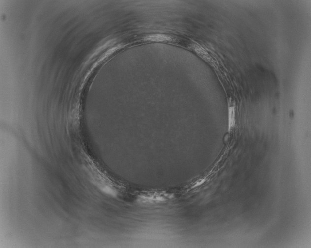 X0000081330243200701251840