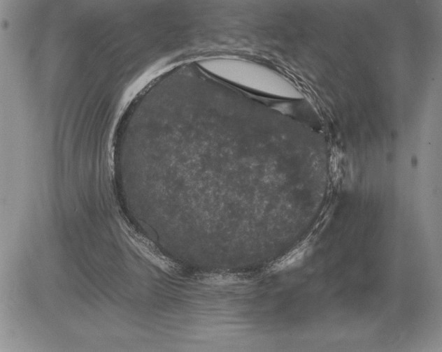 X0000081330246200701251840
