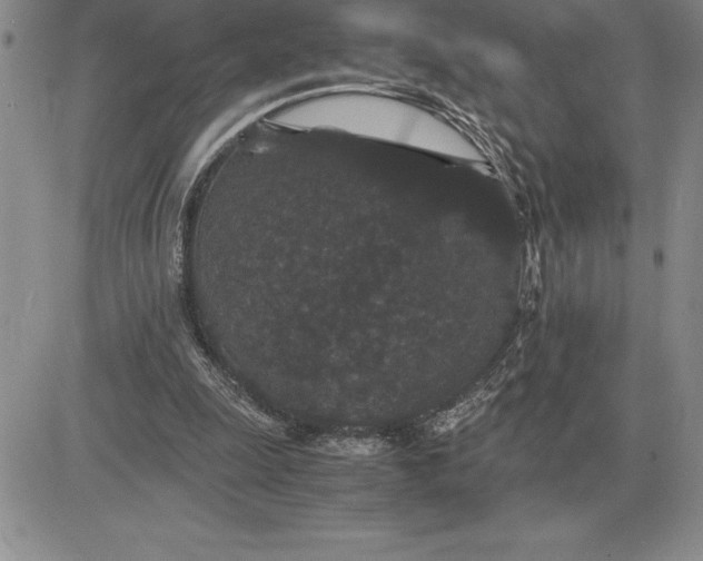 X0000081330247200701251840