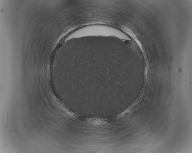 X0000081330249200701251840