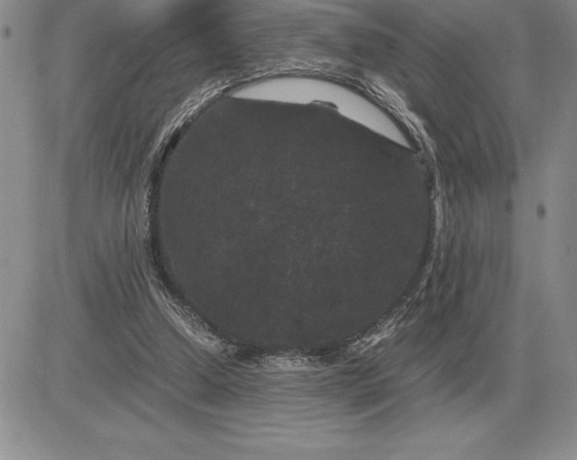 X0000081330250200701251840