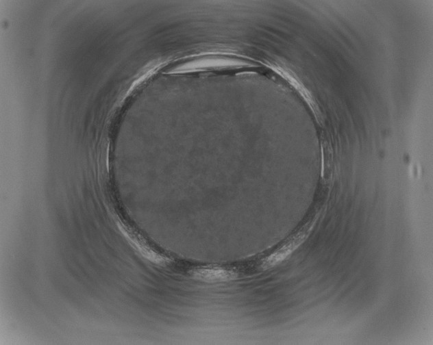 X0000081330253200701251840