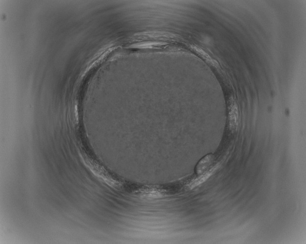 X0000081330254200701251840