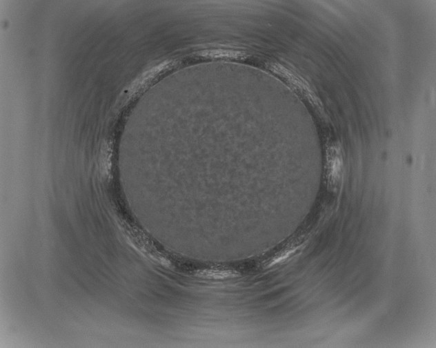 X0000081330255200701251840