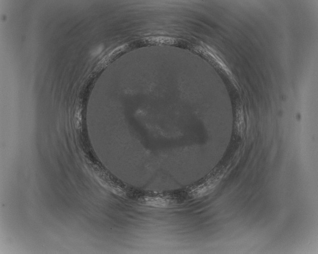 X0000081330259200701251840