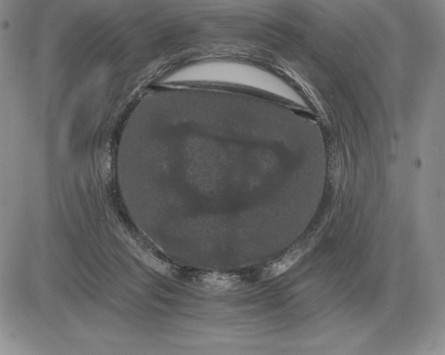 X0000081330261200701251840