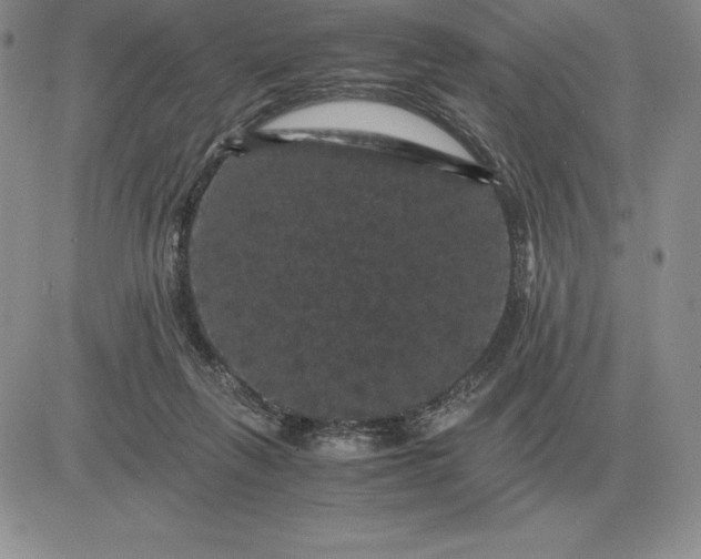 X0000081330263200701251840