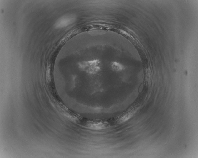X0000081330267200701251841