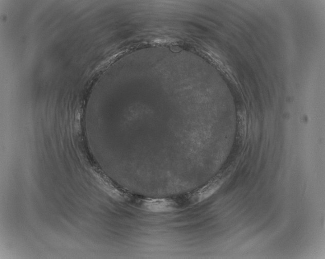 X0000081330269200701251841