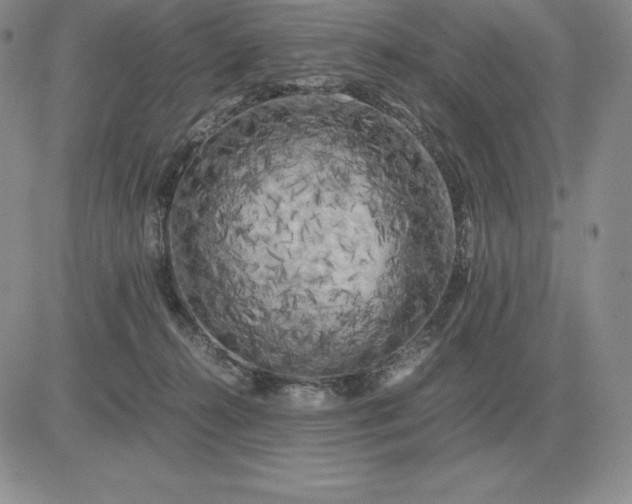 X0000081330272200701251841