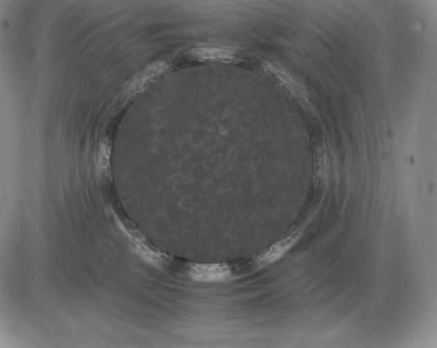 X0000081330281200701251841