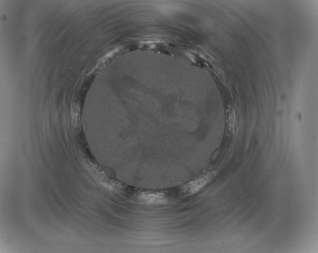 X0000081330283200701251841