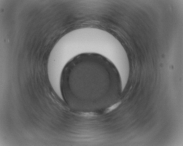 X0000081330284200701251841