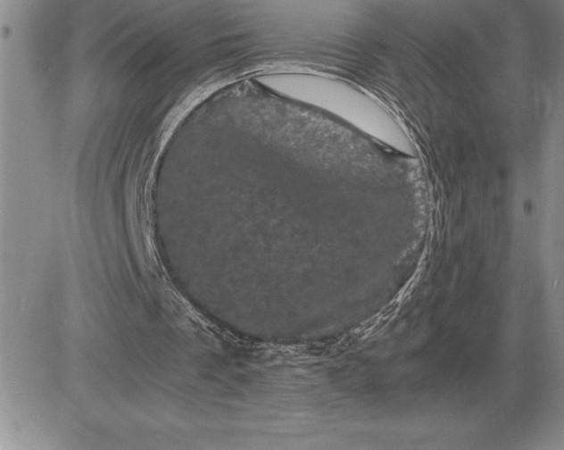 X0000081330289200701251840