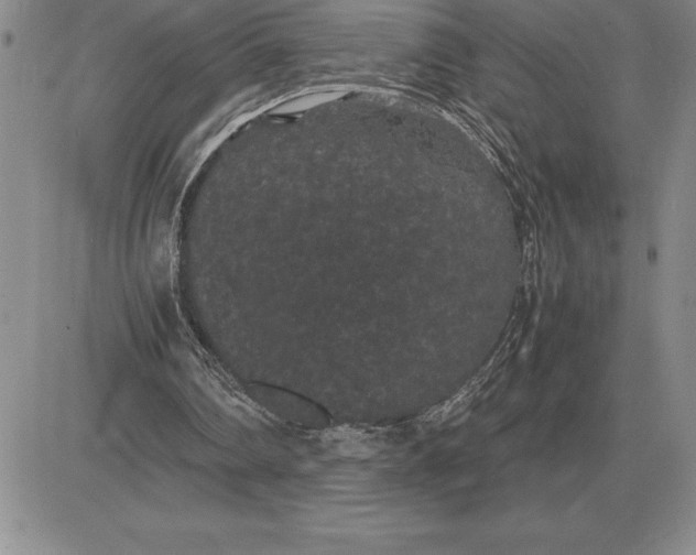 X0000081330290200701251840
