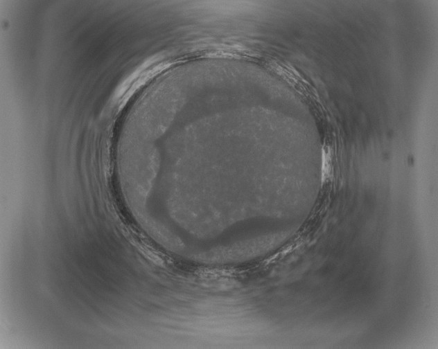 X0000081330291200701251840