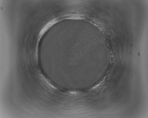 X0000081330296200701251840
