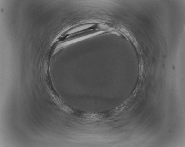 X0000081330297200701251840