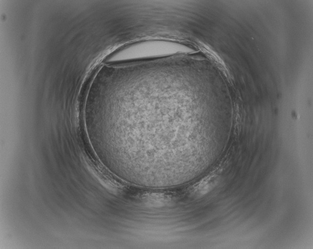 X0000081330298200701251840