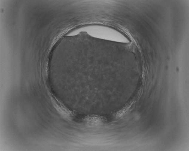 X0000081330299200701251840