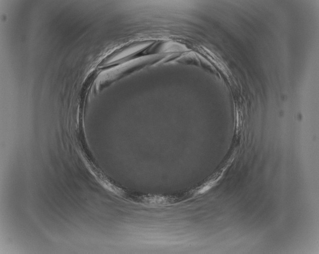 X0000081330301200701251840