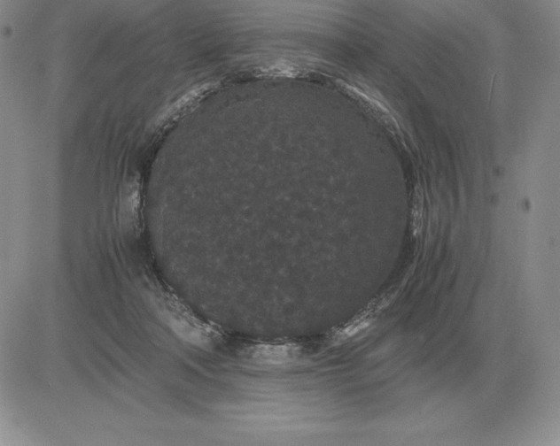 X0000081330314200701251840