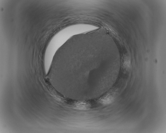 X0000081330315200701251840