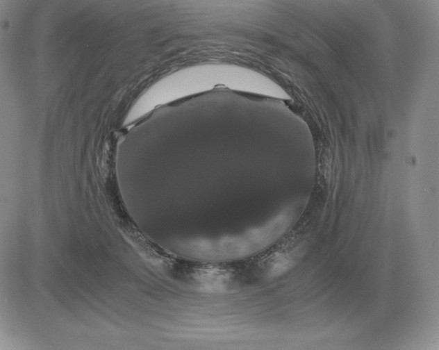 X0000081330319200701251840