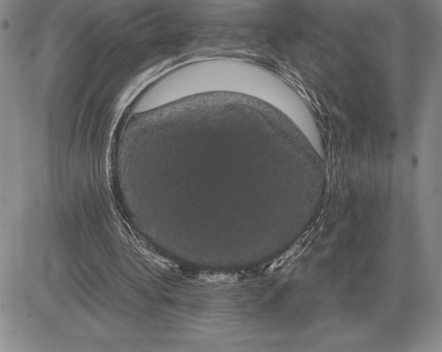 X0000081330340200701251839