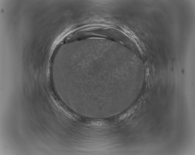 X0000081330344200701251839