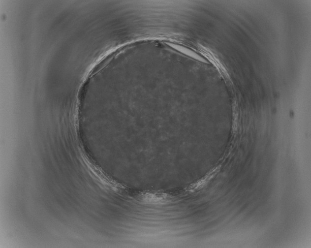X0000081330346200701251839