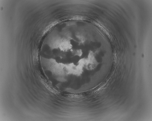 X0000081330347200701251839
