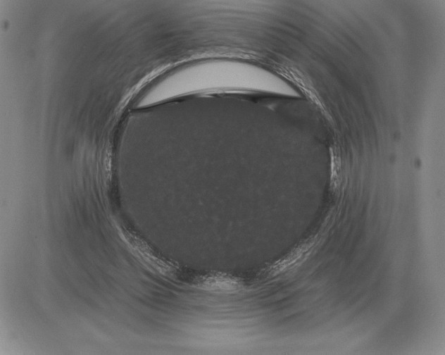 X0000081330348200701251839