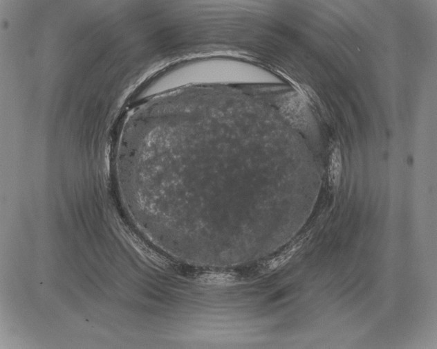 X0000081330350200701251839
