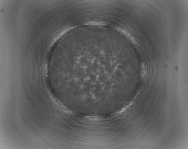 X0000081330351200701251839