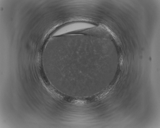 X0000081330352200701251839