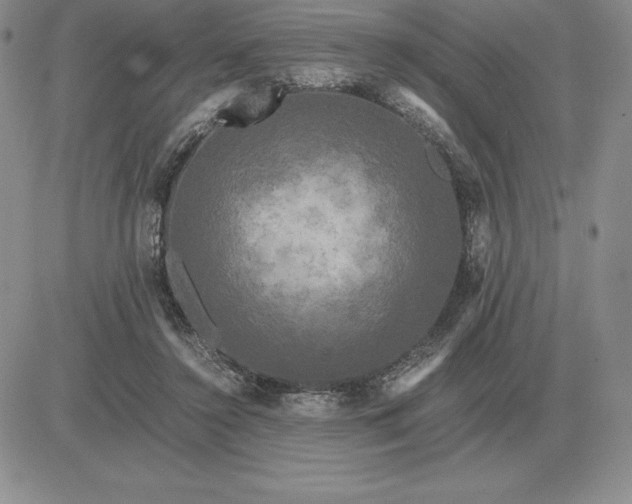 X0000081330356200701251839