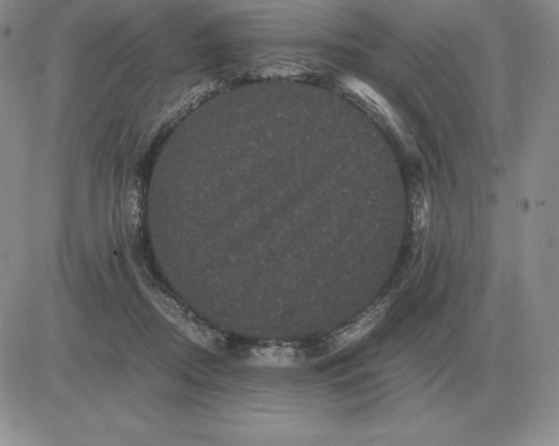 X0000081330362200701251839