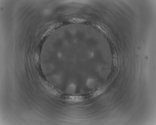 X0000081330371200701251839