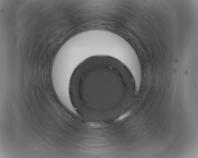 X0000081330372200701251839