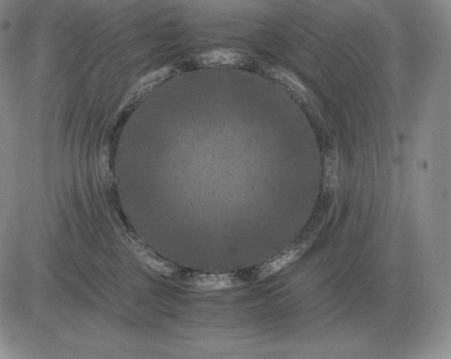 X0000081330377200701251839