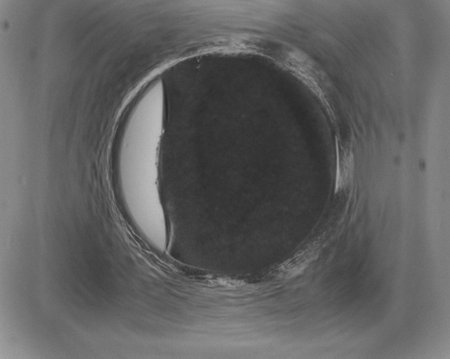 X0000081330387200701251838