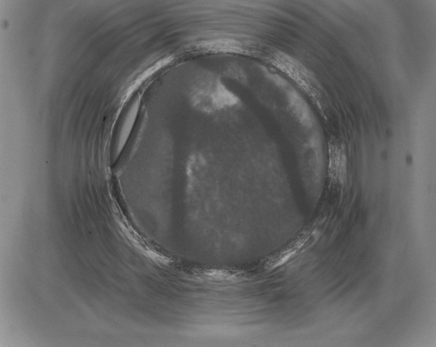 X0000081330390200701251838