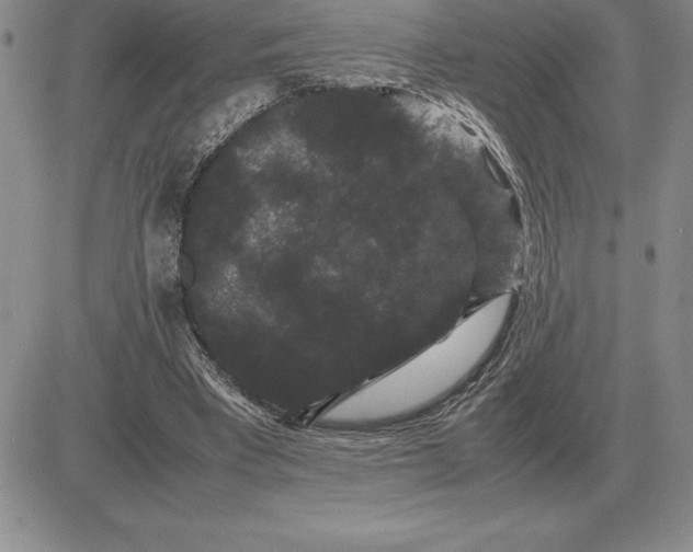 X0000081330393200701251838