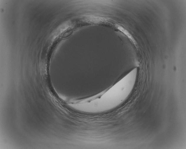 X0000081330399200701251838